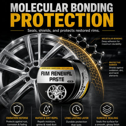 All-in-One Wheel Care & Restoration Paste - image 5