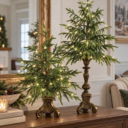 🎄Buy 2 Get 20% OFF🎁Vintage Lighted Norfolk Pine Trees