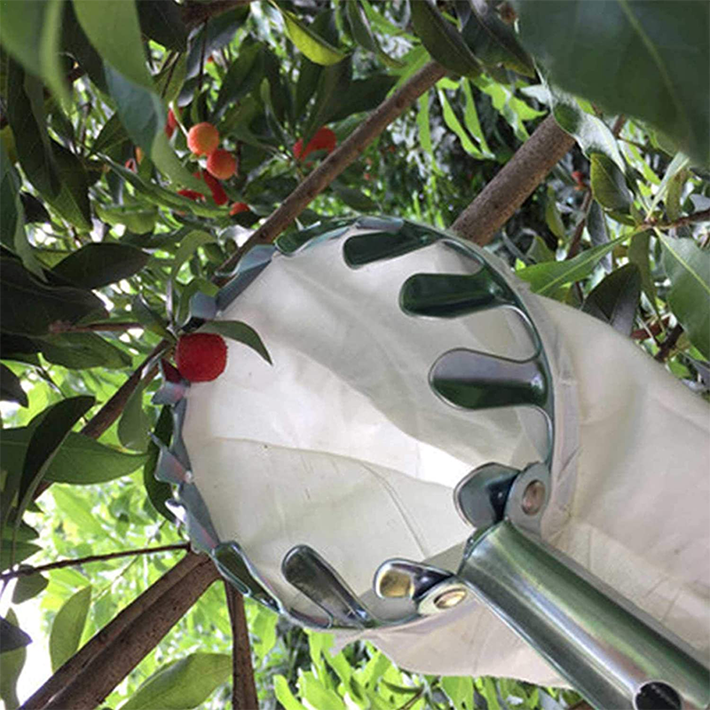 🍎 Fruit Picker with Collection Basket