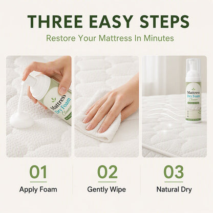 🔥 No-Rinse Mattress & Upholstery Foam Cleaner – Enzyme-Powered Deep Cleaning Formula🛏️🧽 - image 8